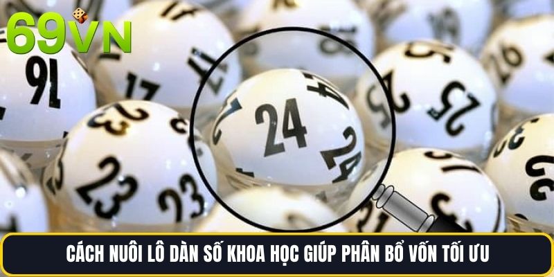 Cách nuôi lô dàn số khoa học giúp phân bổ vốn tối ưu