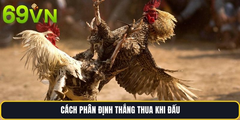 Cách phân định thắng thua khi đấu