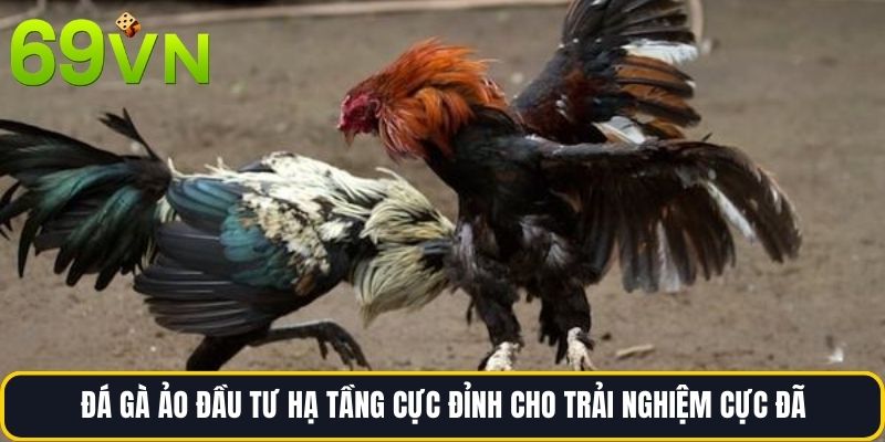Đá gà ảo đầu tư hạ tầng cực đỉnh cho trải nghiệm cực đã