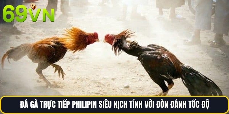 Đá gà trực tiếp philipin siêu kịch tính với đòn đánh tốc độ