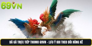 Đá Gà Trực Tiếp Thomo 69vn -  Lưu Ý Khi Theo Dõi Hùng Kê