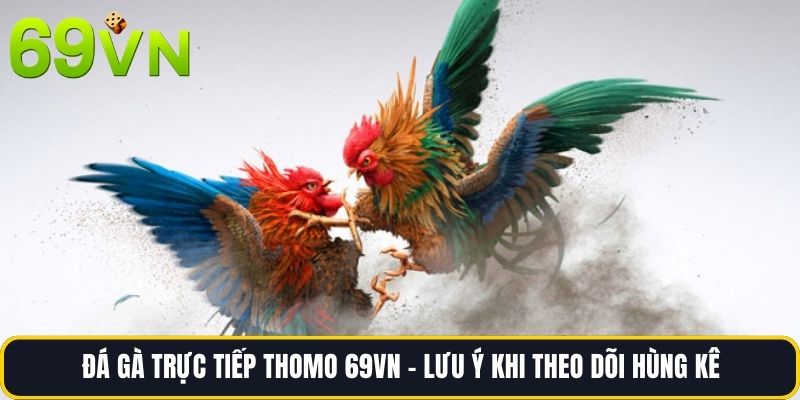 Đá Gà Trực Tiếp Thomo 69vn -  Lưu Ý Khi Theo Dõi Hùng Kê