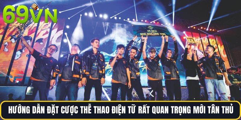 Hướng dẫn đặt cược thễ thao điện tữ rất quan trọng mới tân thủ