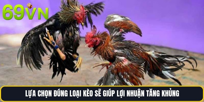 Lựa chọn đúng loại kèo sẽ giúp lợi nhuận tăng khủng