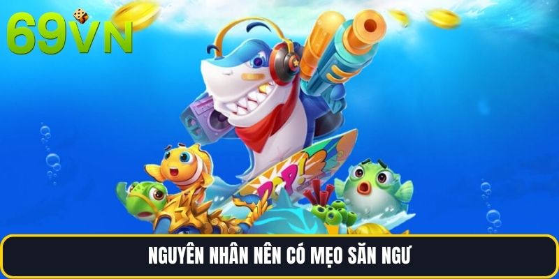 Nguyên nhân nên có mẹo săn ngư