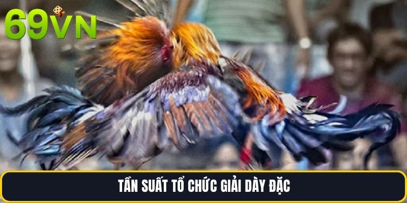 Tần suất tổ chức giải dày đặc