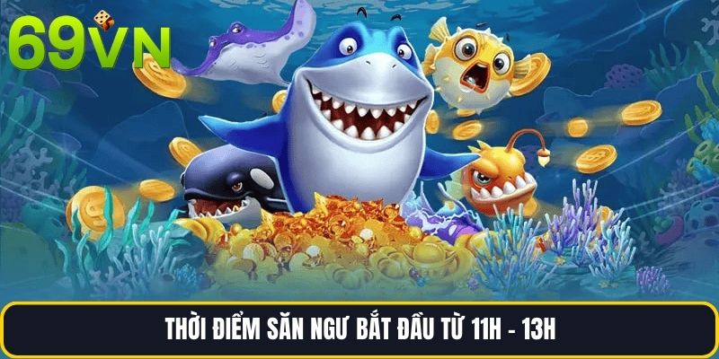 Thời điểm săn ngư bắt đầu từ 11h - 13h