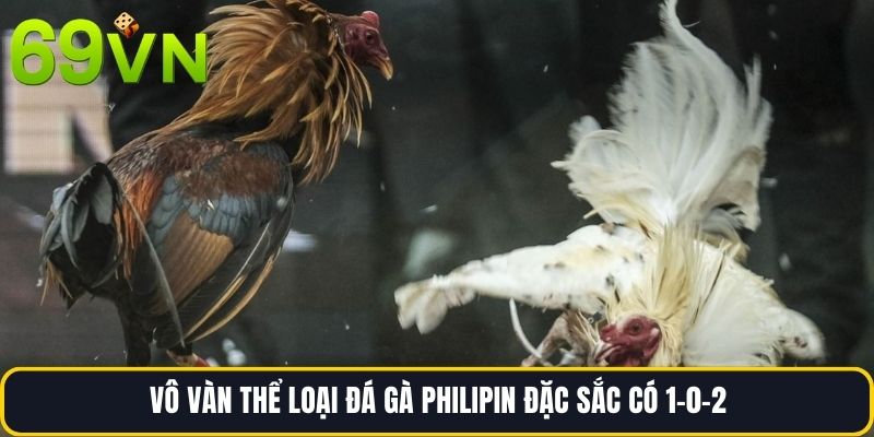 Vô vàn thể loại đá gà philipin đặc sắc có 1-0-2